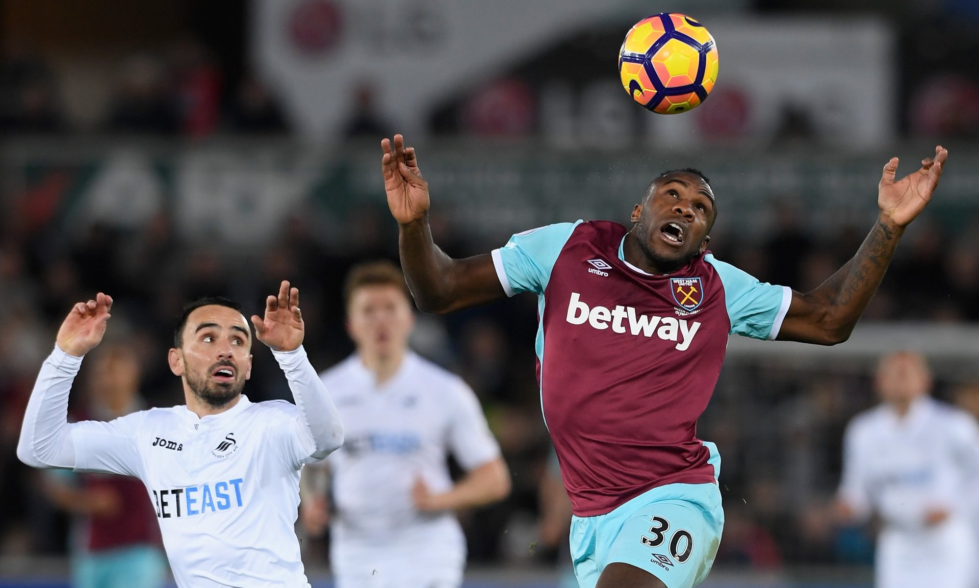 豫地选择回 豫地选择回